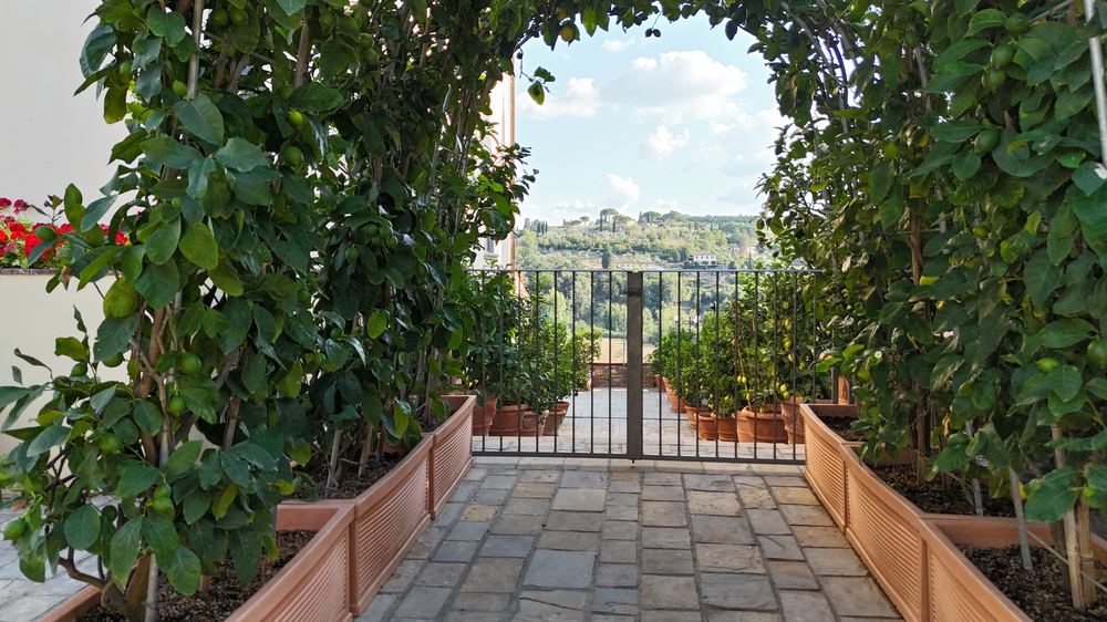 Il limoneto della villa