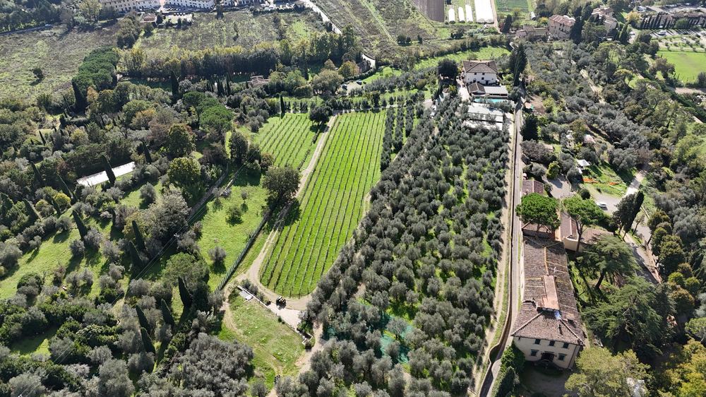 Veduta aerea della tenuta